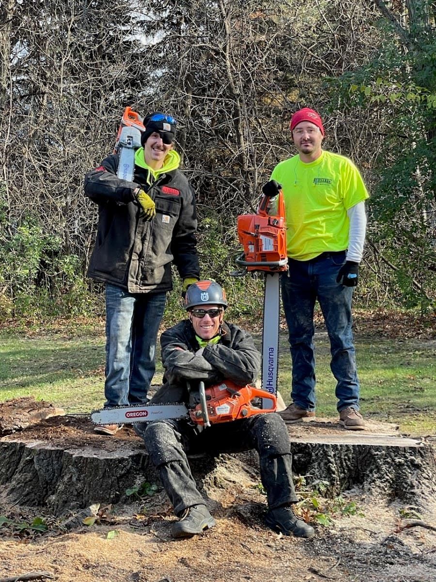 Allstate Tree Service