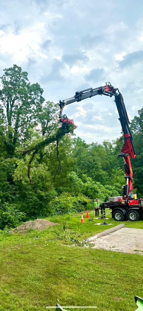 Brinko Tree Service LLC