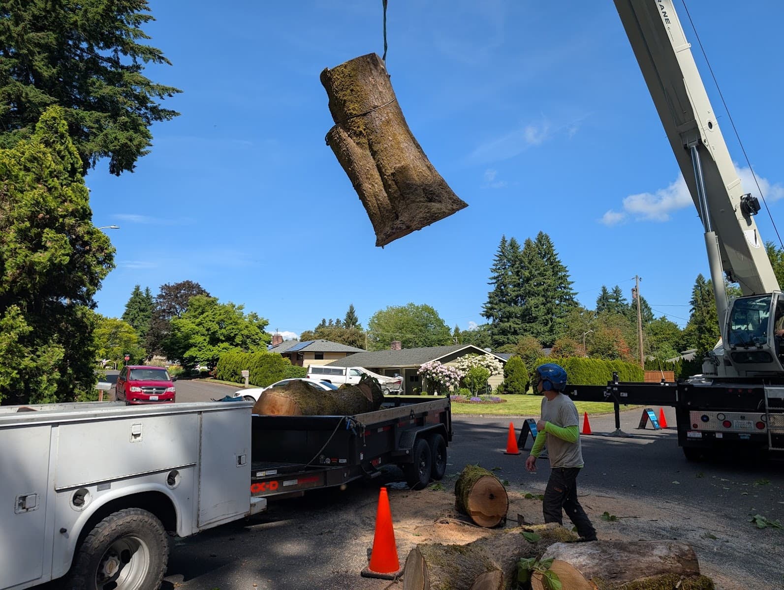 Priority Tree Service LLC