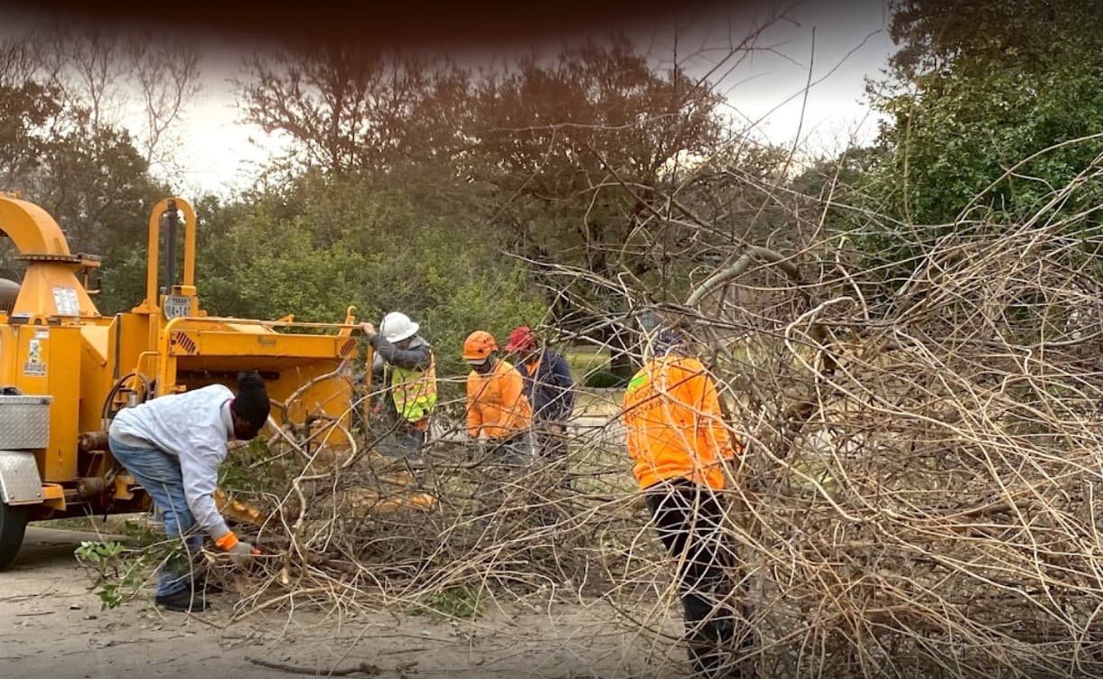 Los Gat﻿os Tree Ser﻿vice