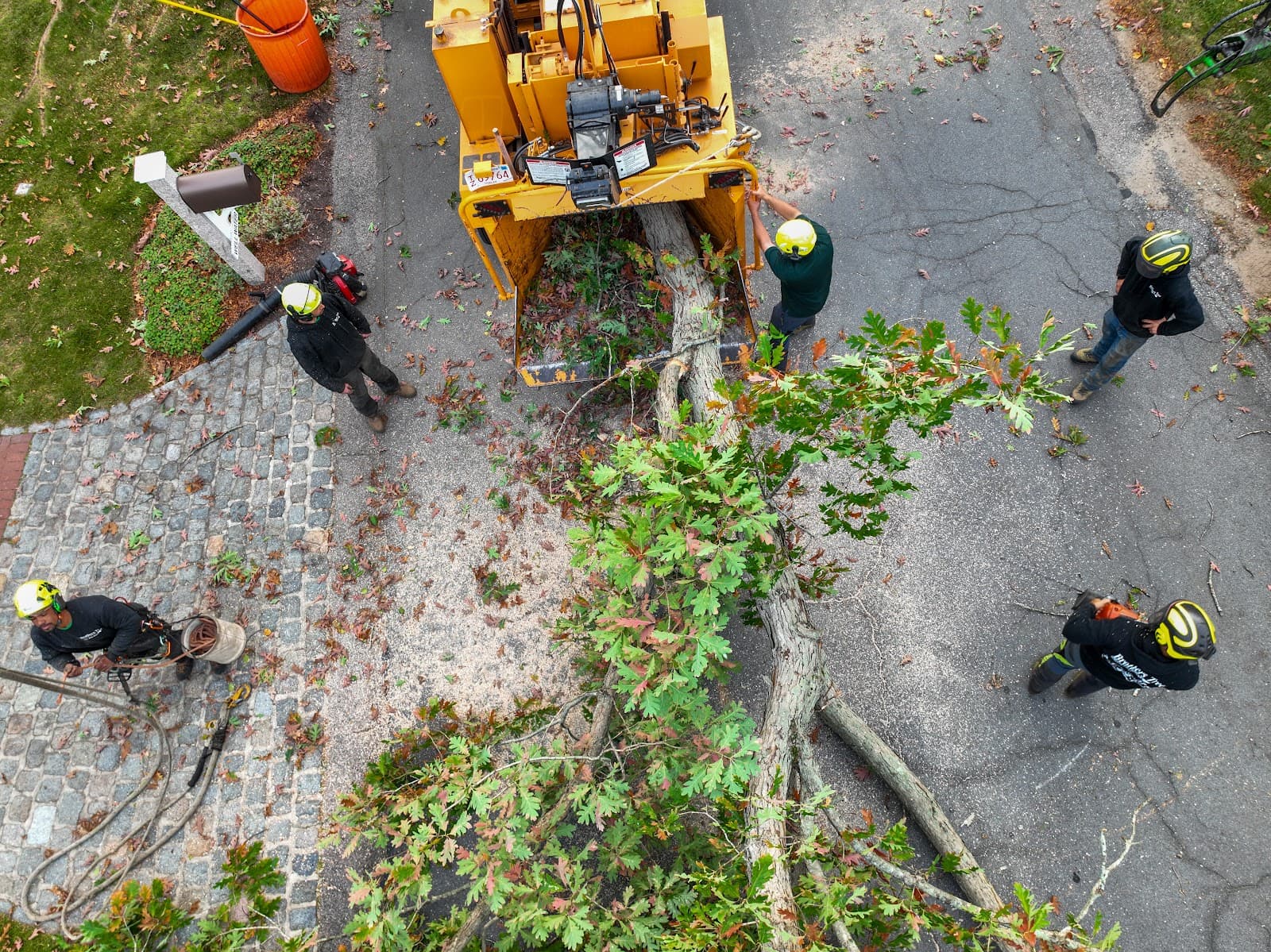 Brothers Tree Service and Landscape Corp.
