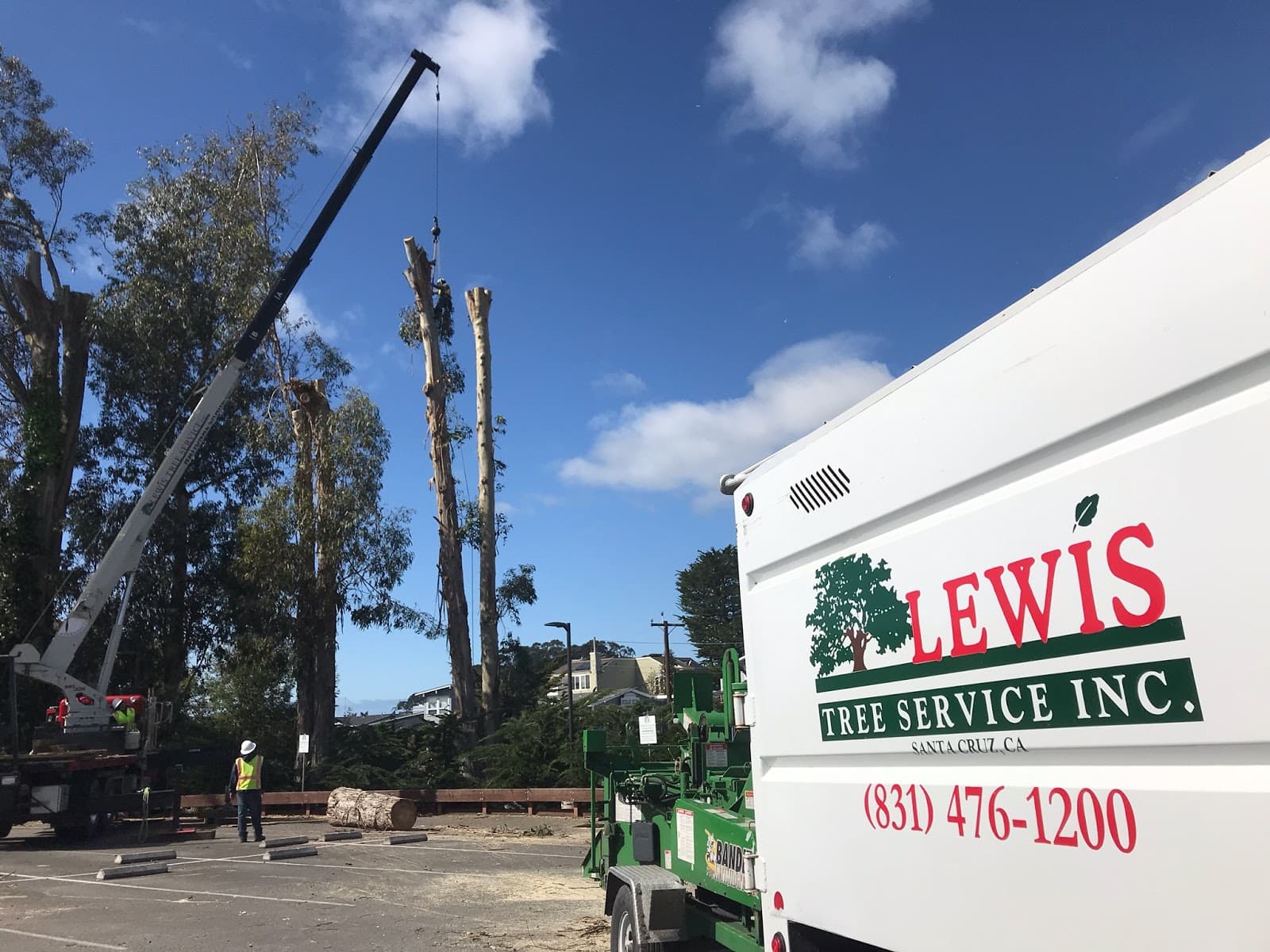 Lewis Tree Service