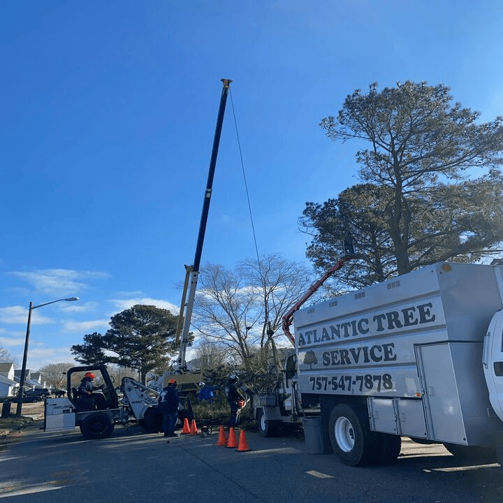A Atlantic Tree Service