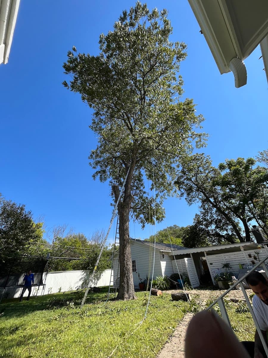 WeCare Tree Care LLC