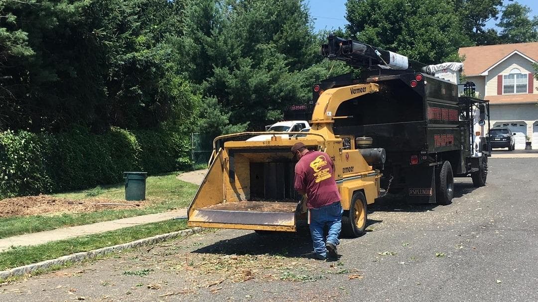 Scottie’s Tree Service