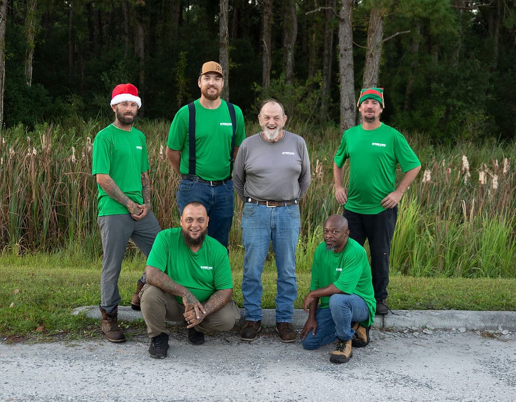 Tree Care by Robert Miller