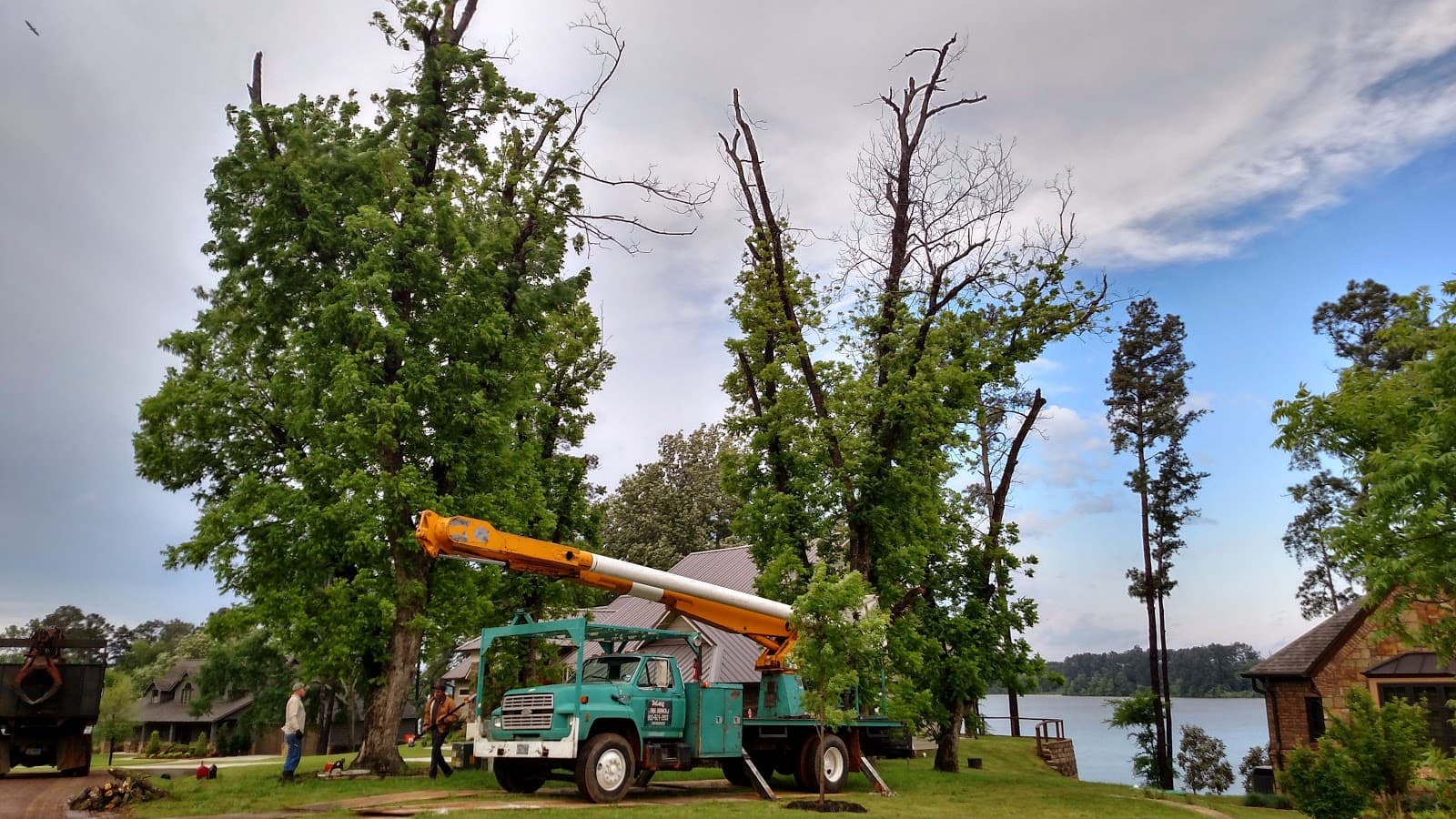 Leonards Tree Service