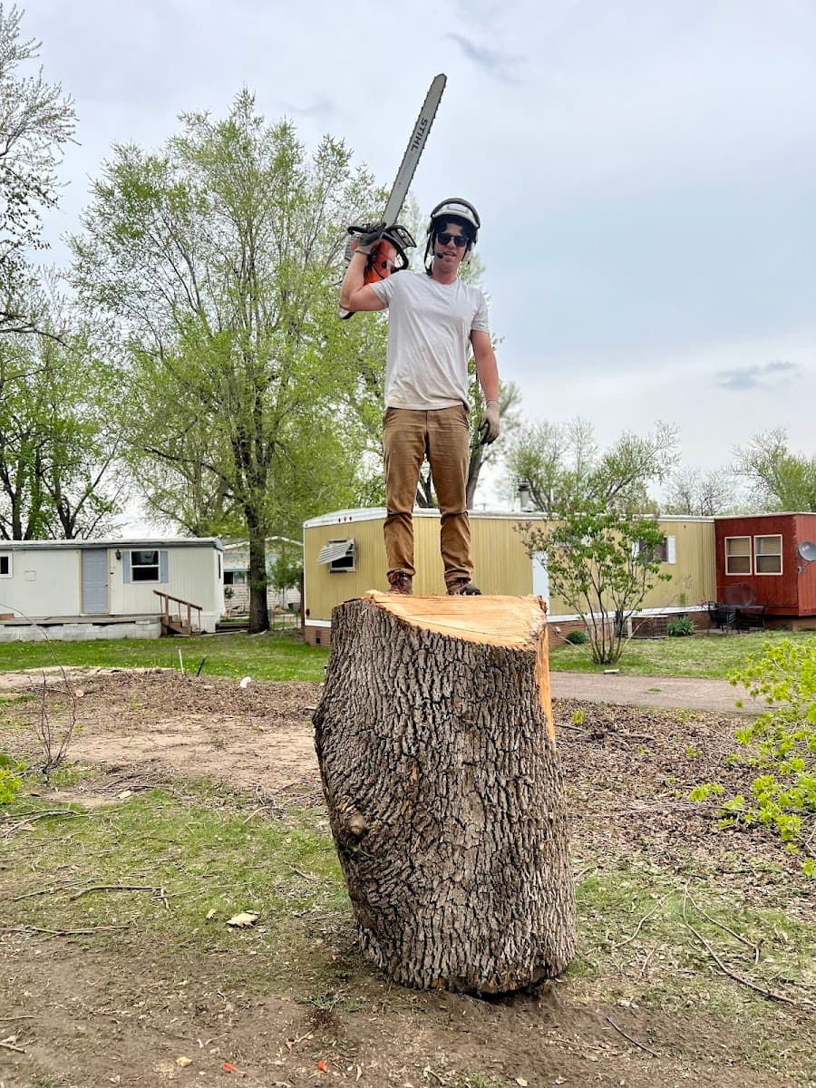 Sioux Empire Tree Service