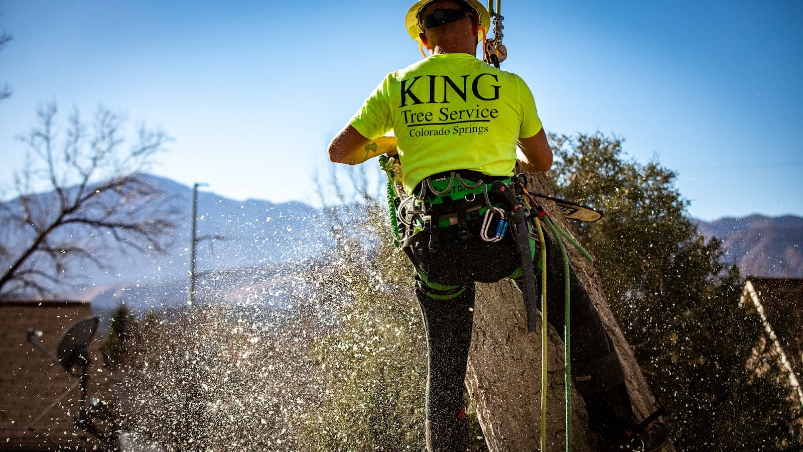 King Tree Service