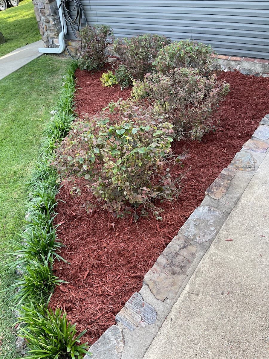 Vasquez Lawn & Tree Service