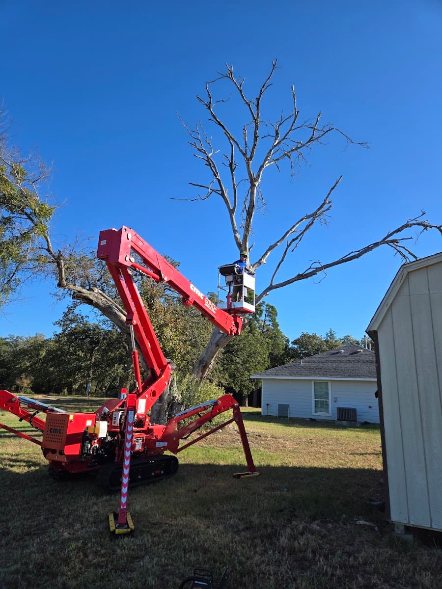 Centex Tree Solutions