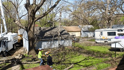 Premier Tree Service Inc