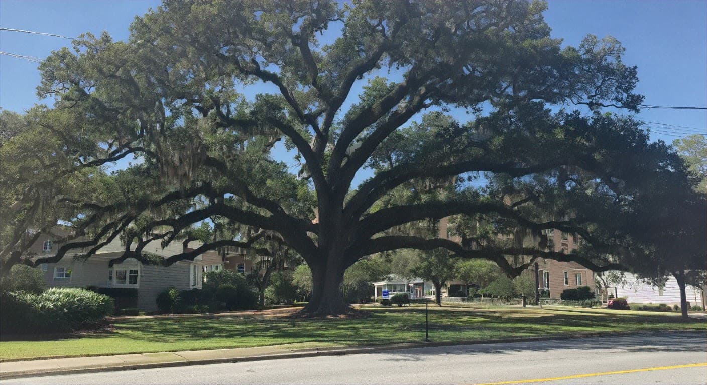 GreenTech Forestry and Tree Removal