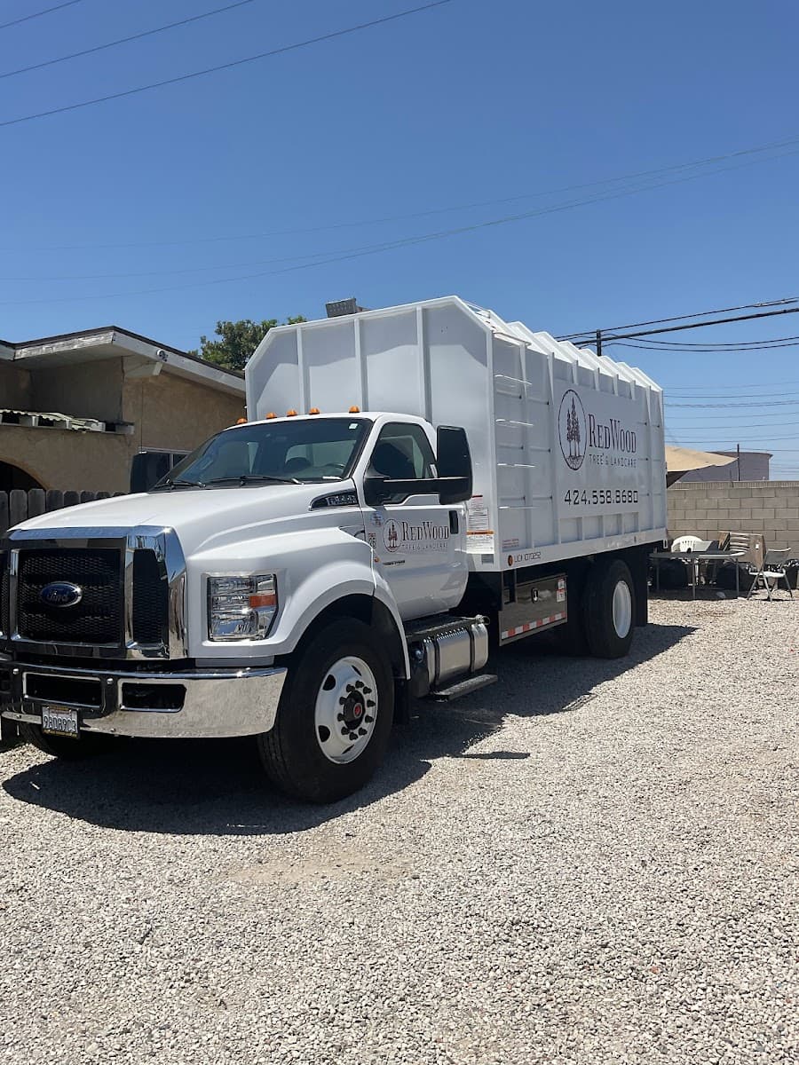 Redwood Tree and Landcare