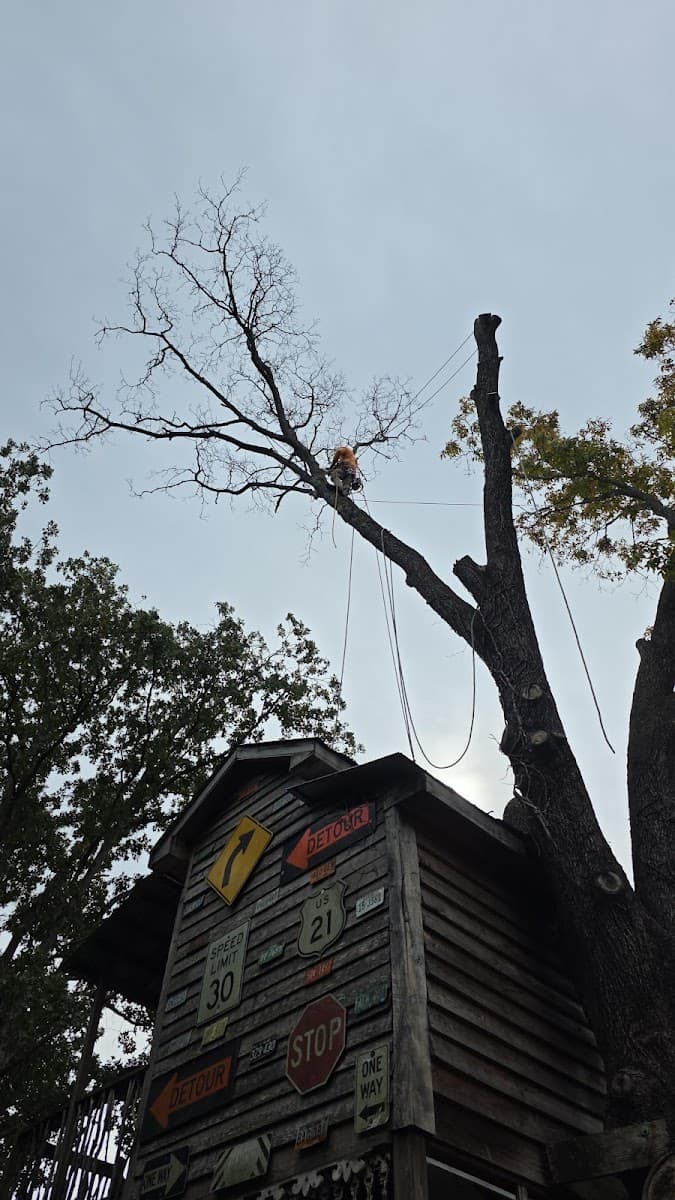 Omar's Tree Service LLC