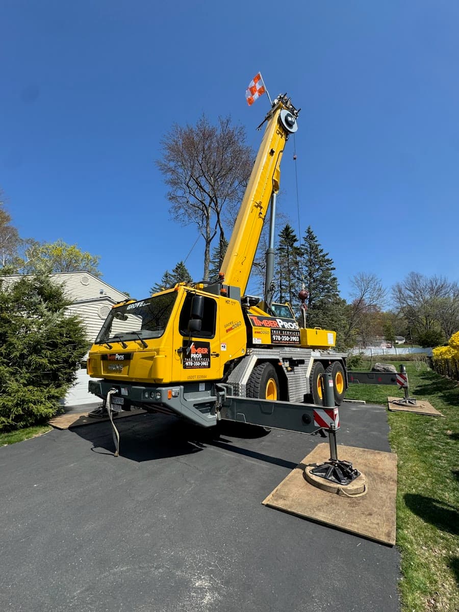 Timber Pros - Tree Services