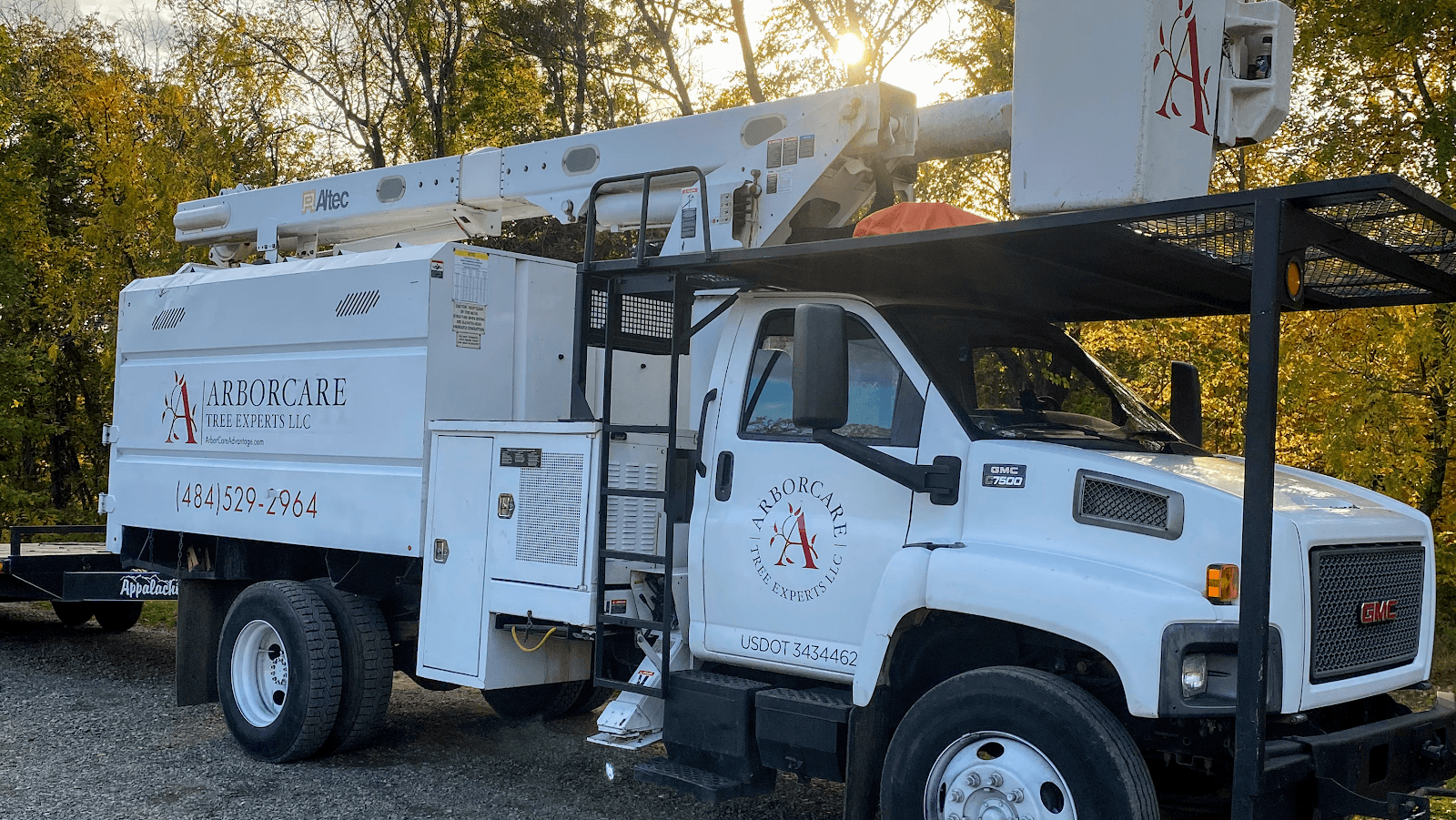 ArborCare Tree Experts