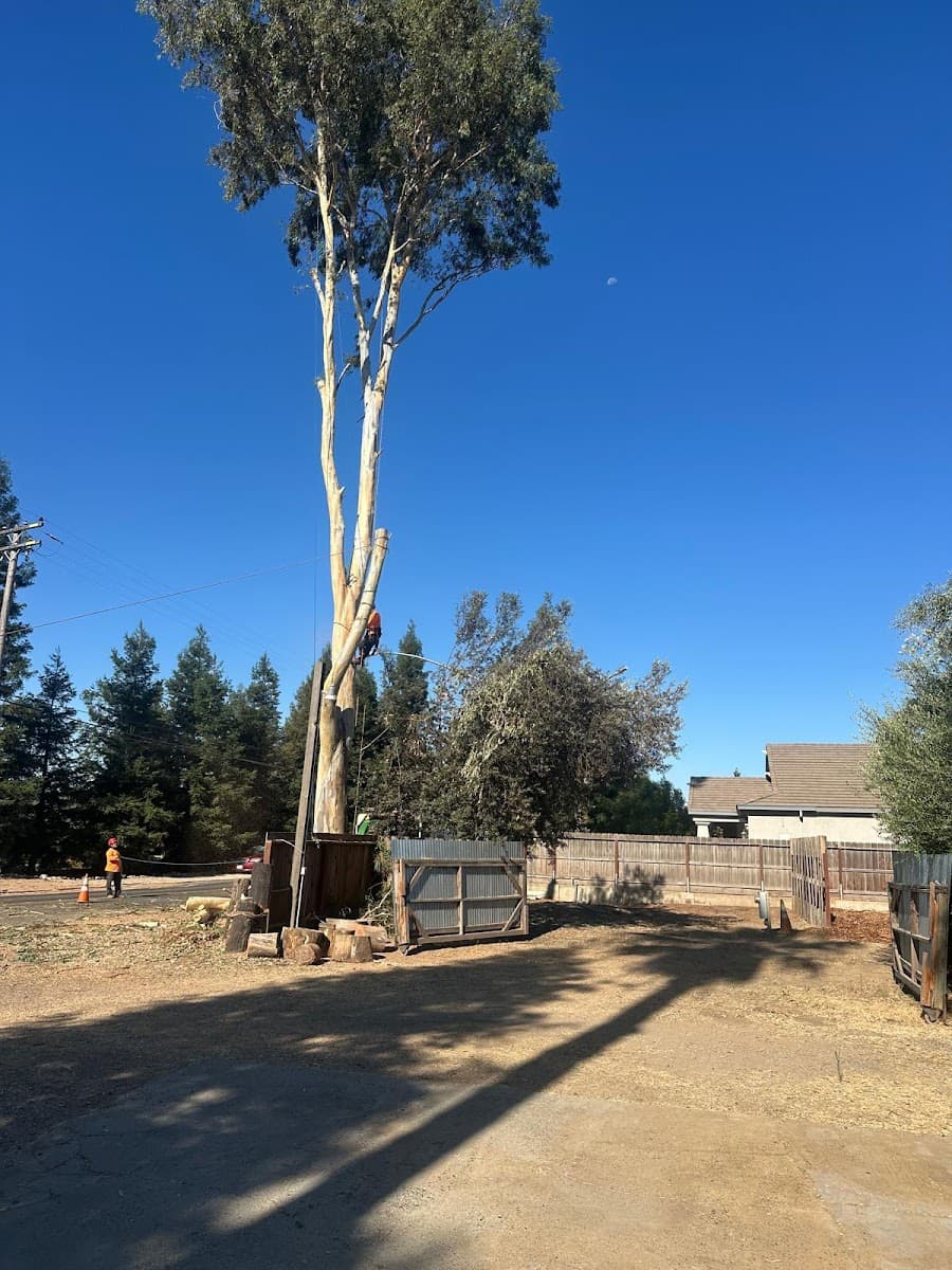 Discovery Tree Care, Inc.