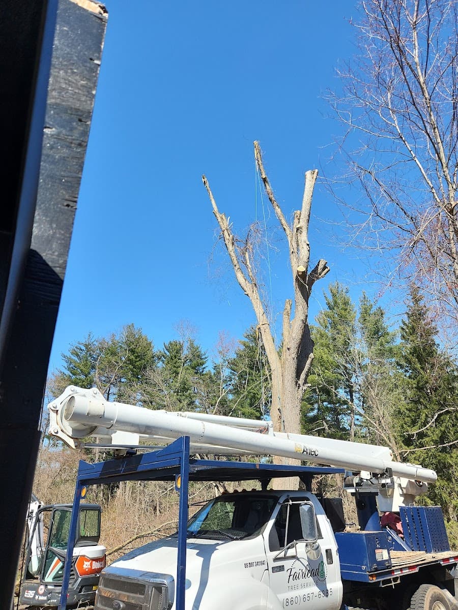 Fairlead Tree Service, LLC