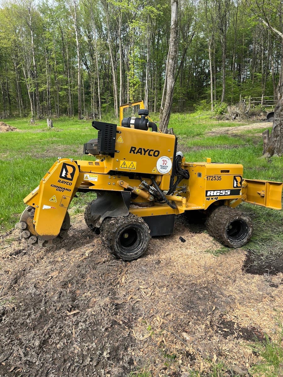Lakeview Tree and Stump Grinding
