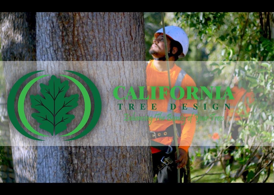 California Tree Design Inc.