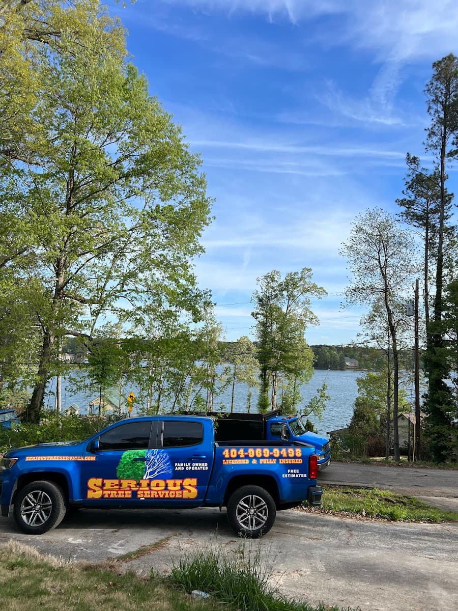 Serious Tree Services