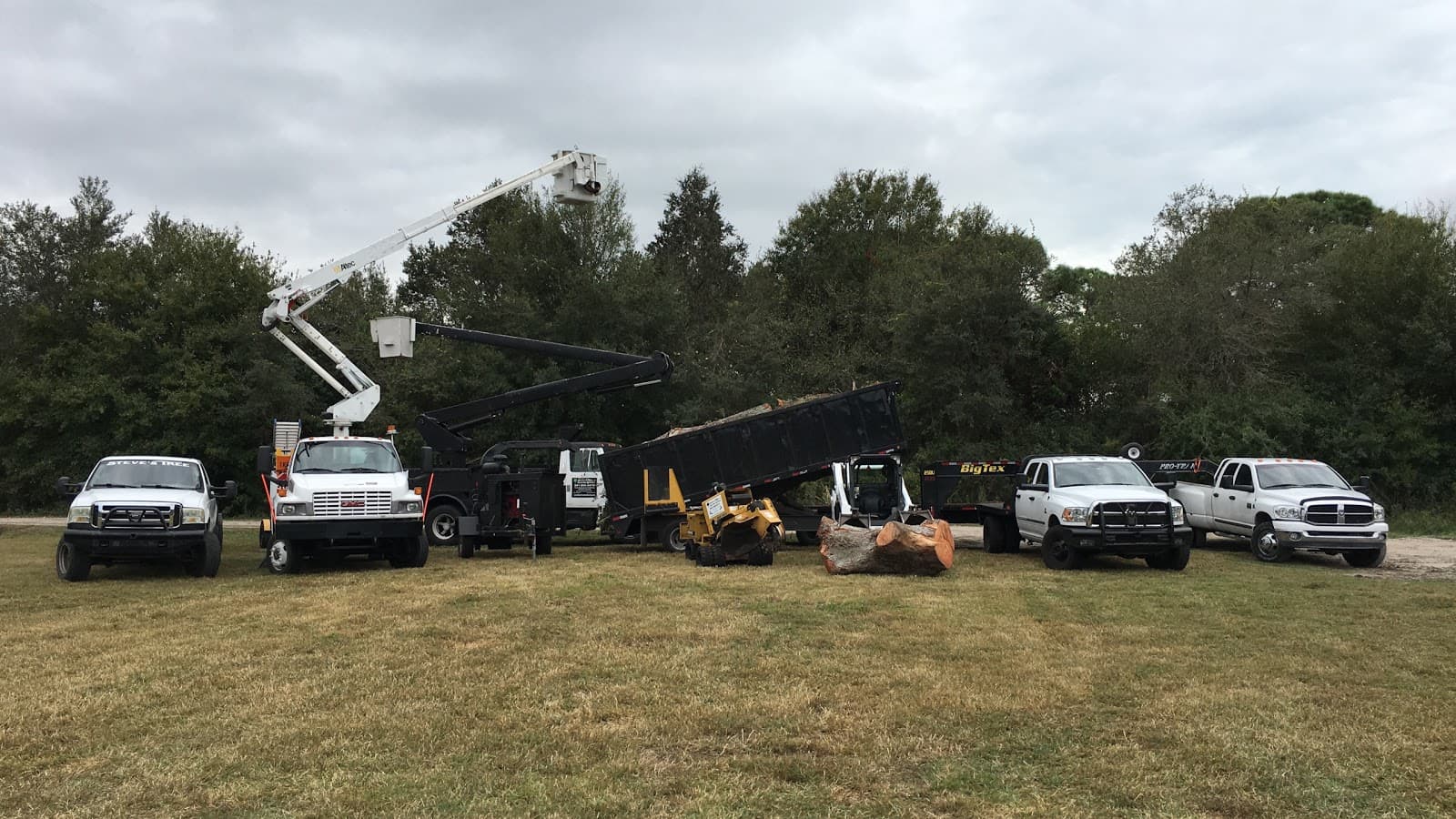 Steve's Tree & Hauling Service LLC