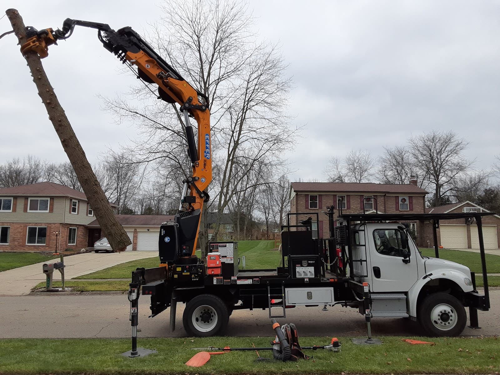 ArborCare Tree Service