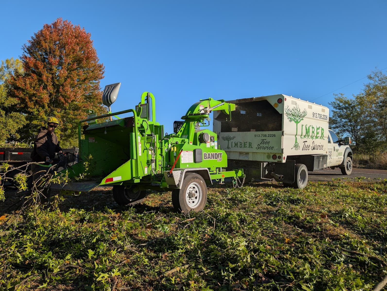 Timber Tree Service LLC