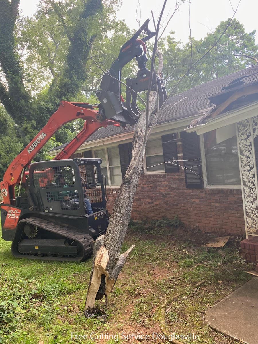 Douglas County Tree Service