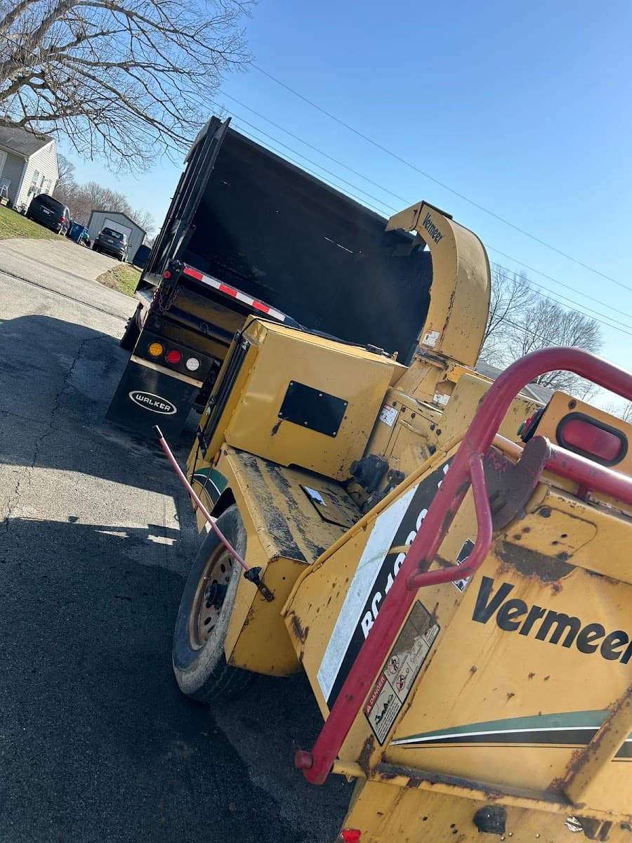 Julio Tree Service & Landscape