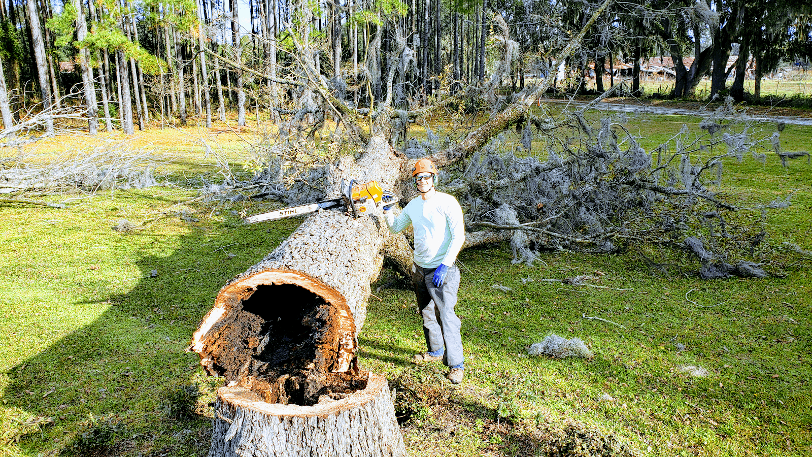 Lake City Tree Service