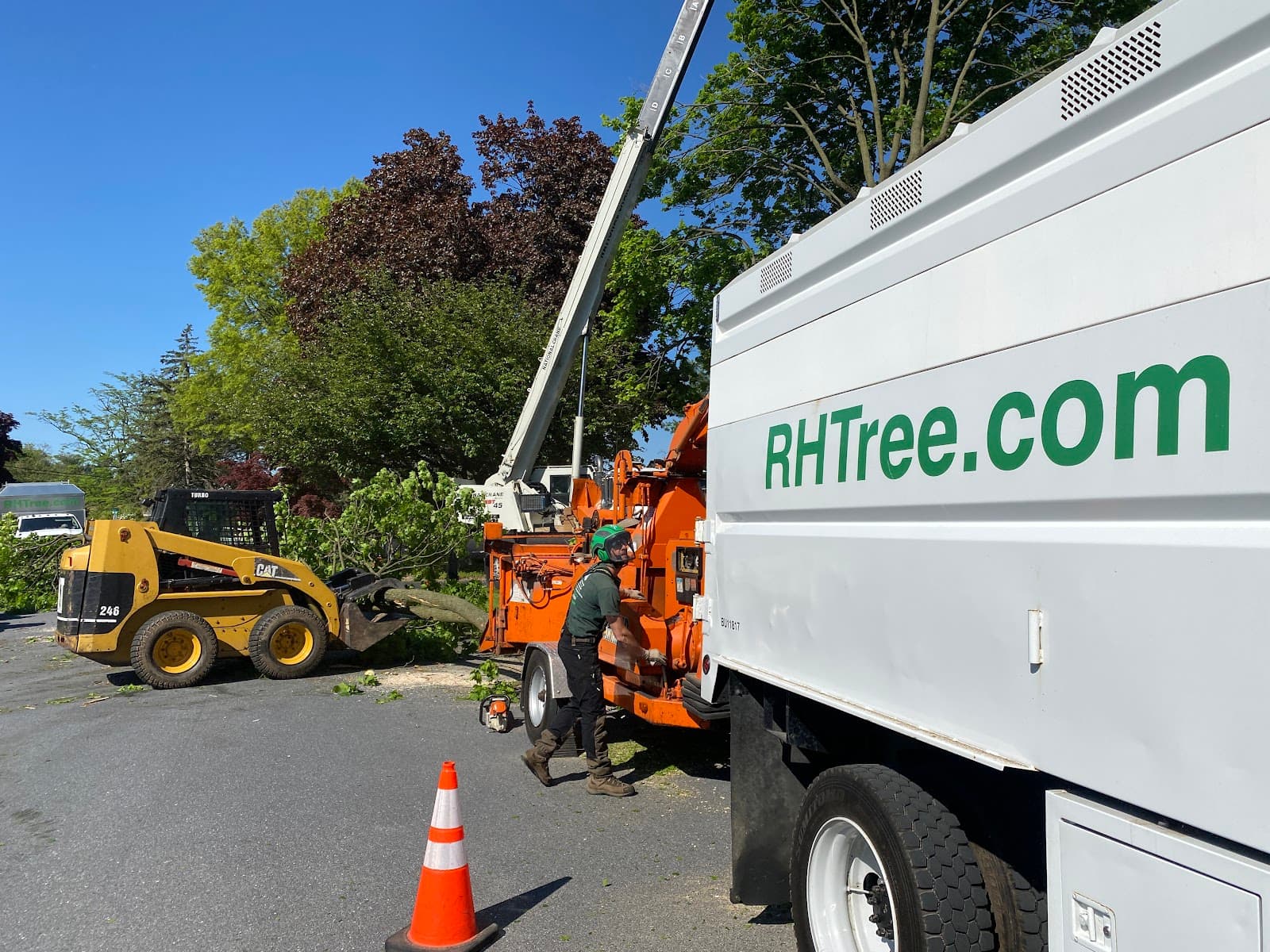 Reaching Higher Tree Service