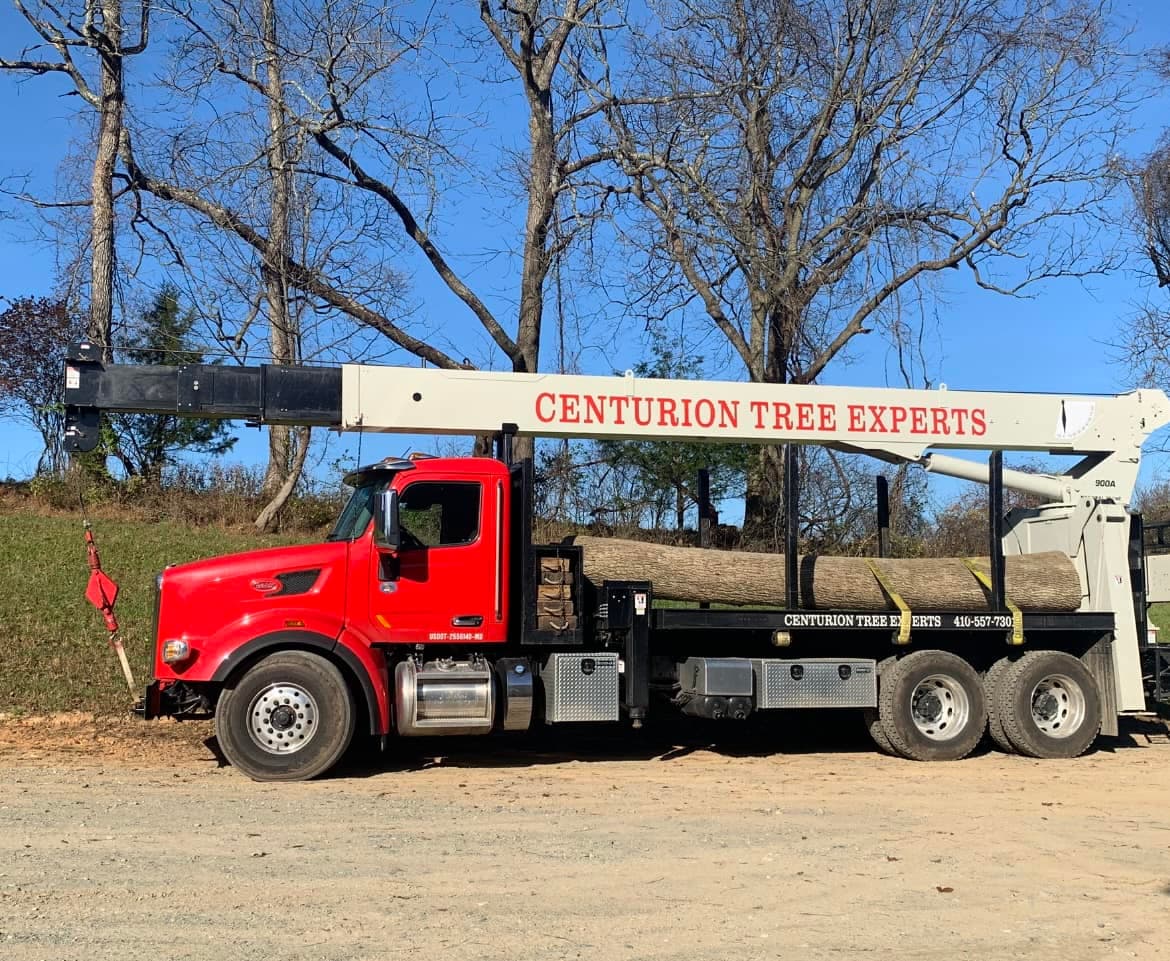 Centurion Tree Experts Inc
