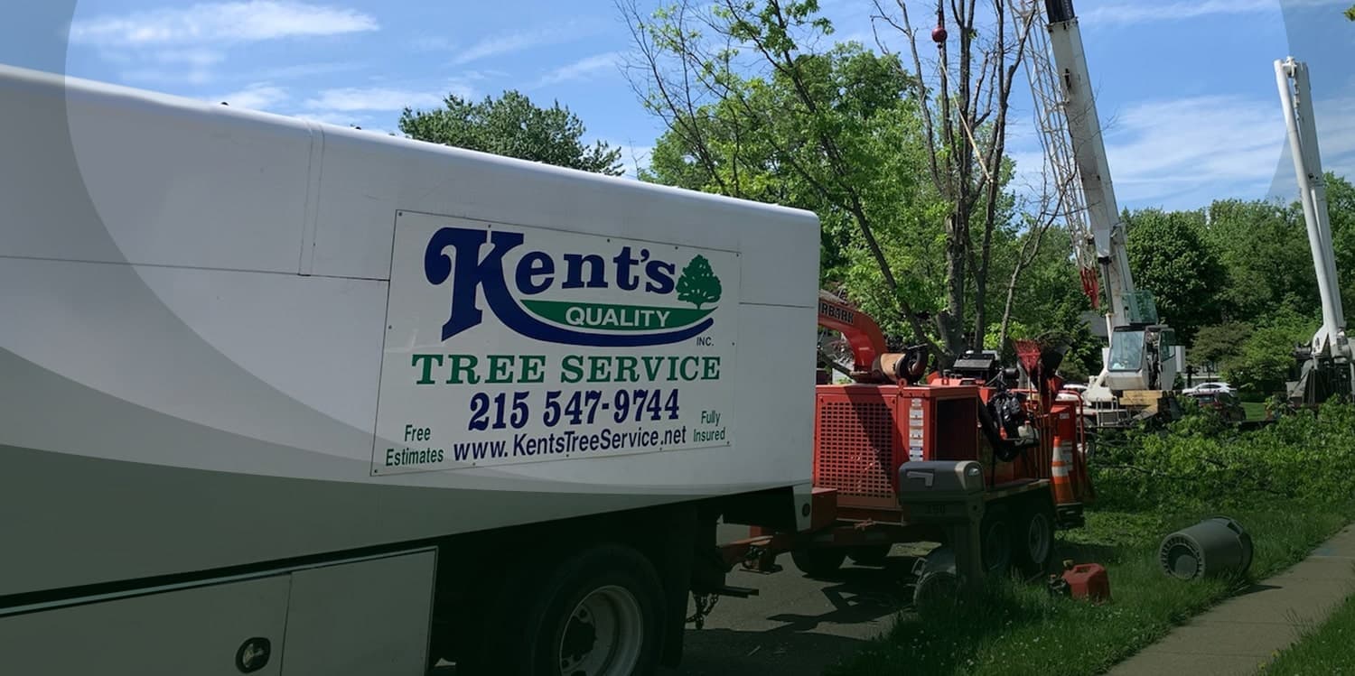 Kents Tree Service