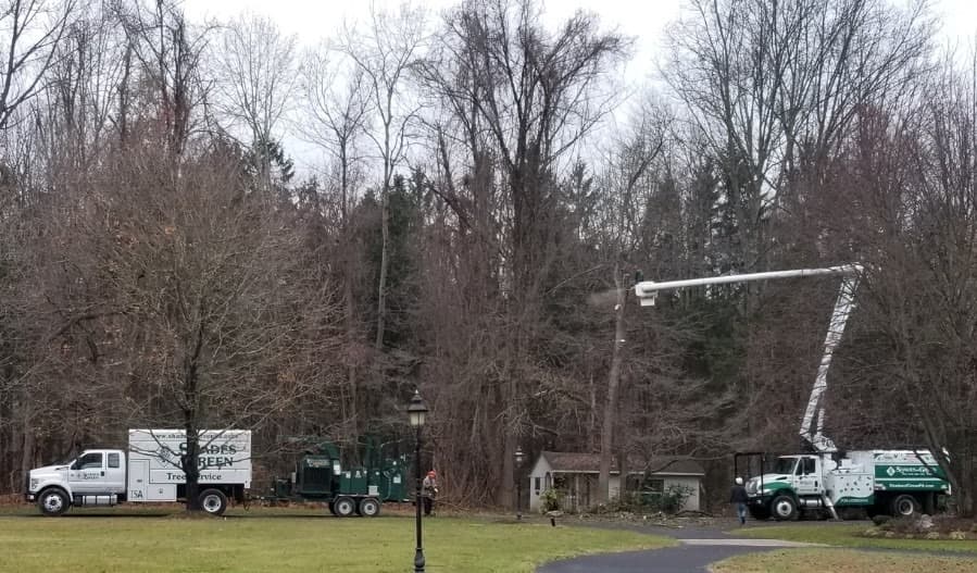 Shades Of Green, Inc.