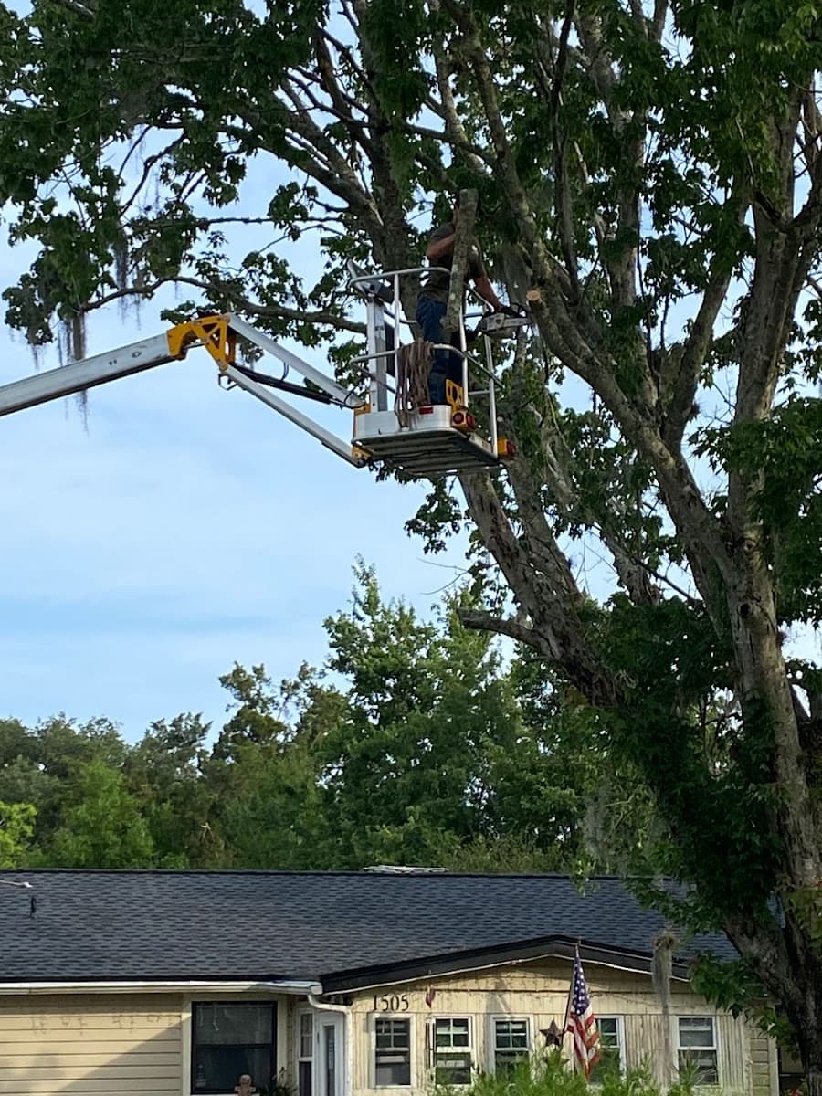 Top Notch Tree Experts