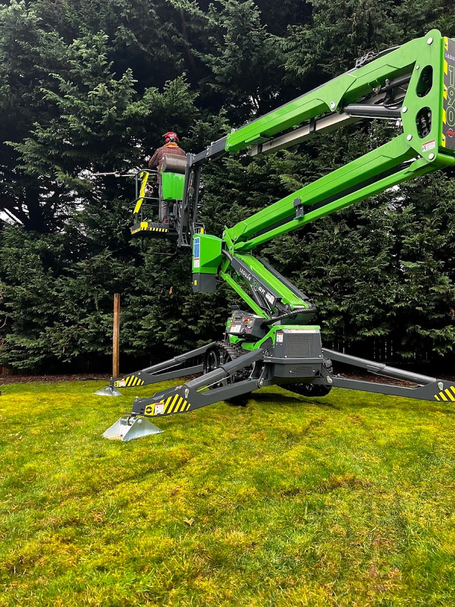 Williams Tree and Stump Removal LLC