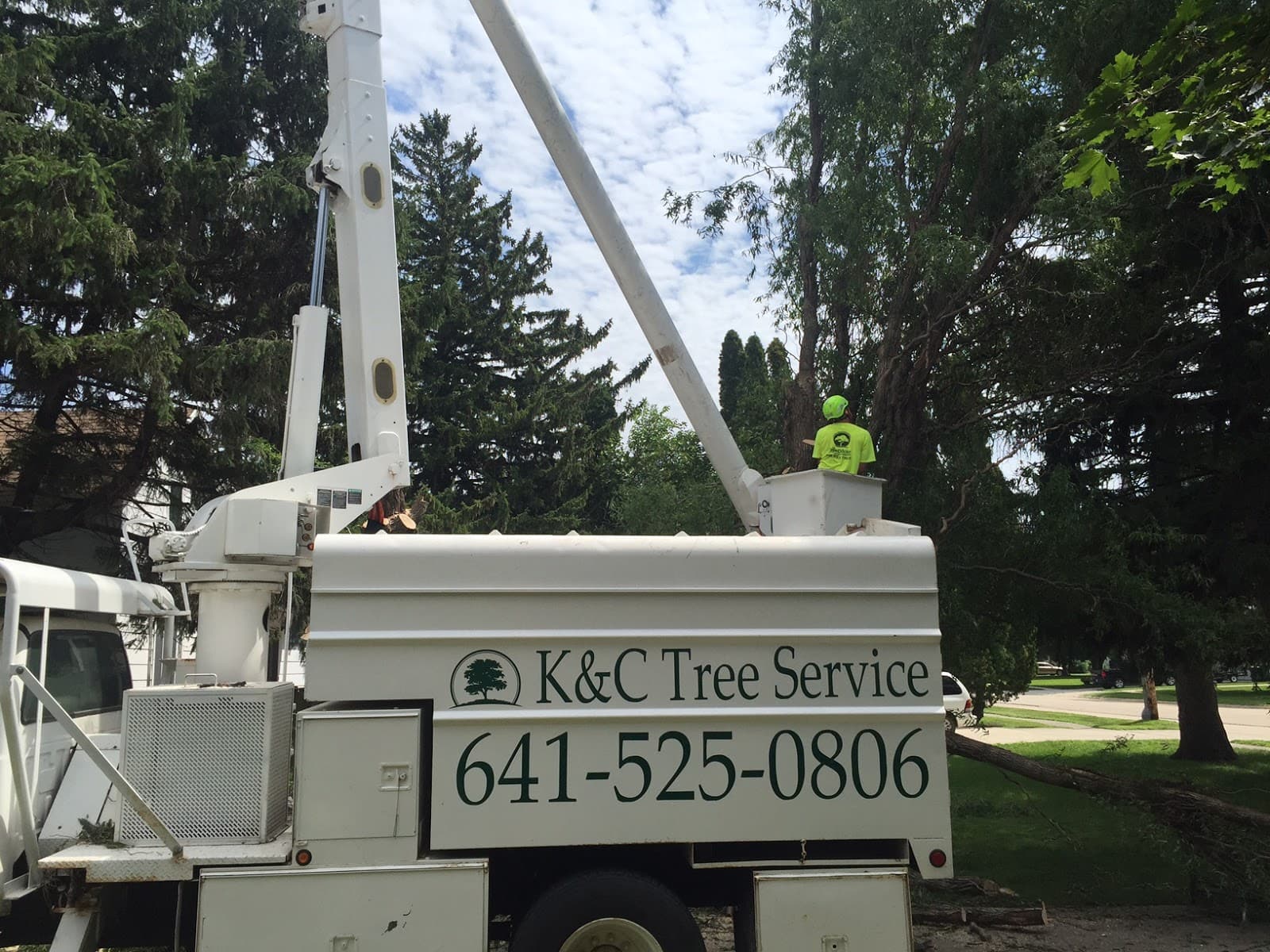 K&C Tree Service
