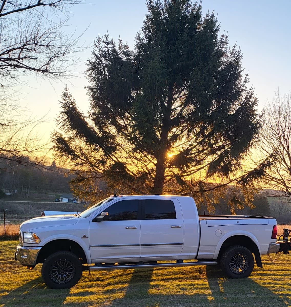 Funks tree services & landscaping