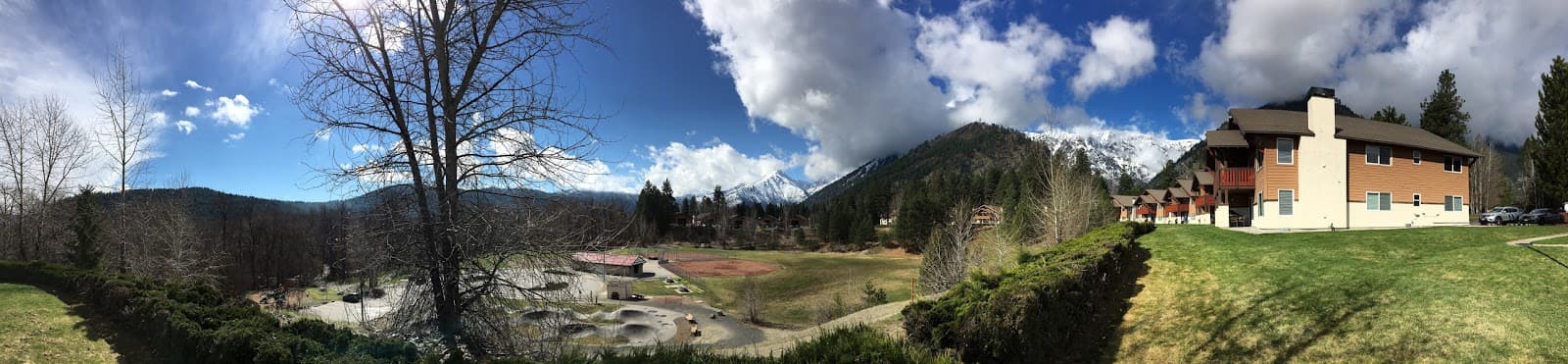 Apex Tree Experts - Gig Harbor