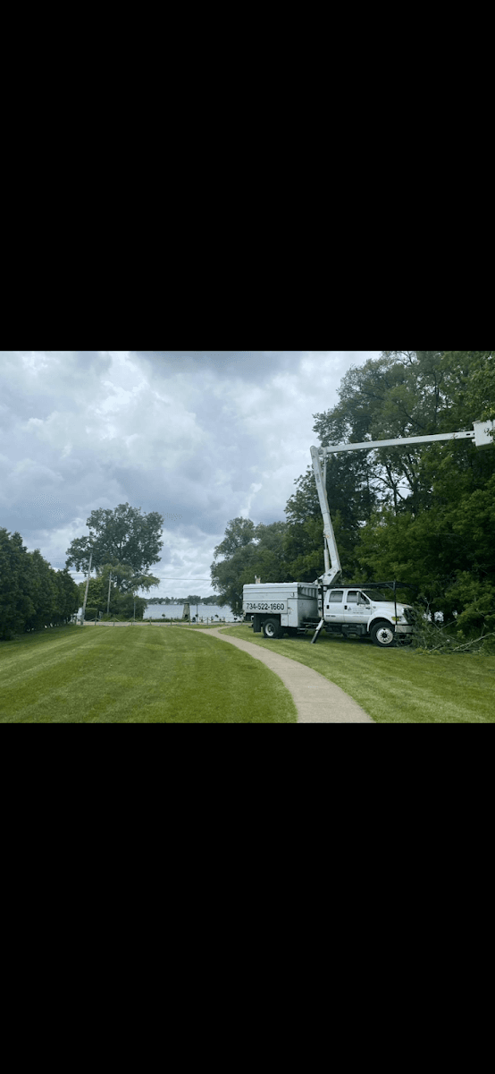 Ashton Tree & Landscape Service