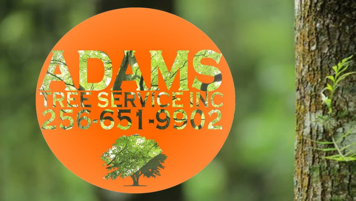 Adams Tree Services LLC