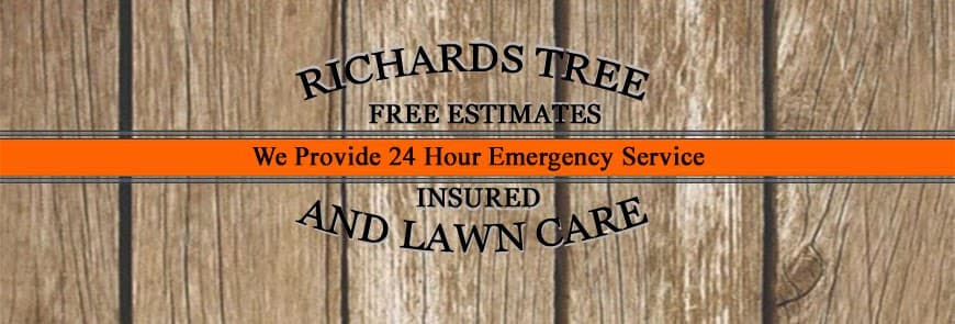 Richard's Tree and Lawn Care