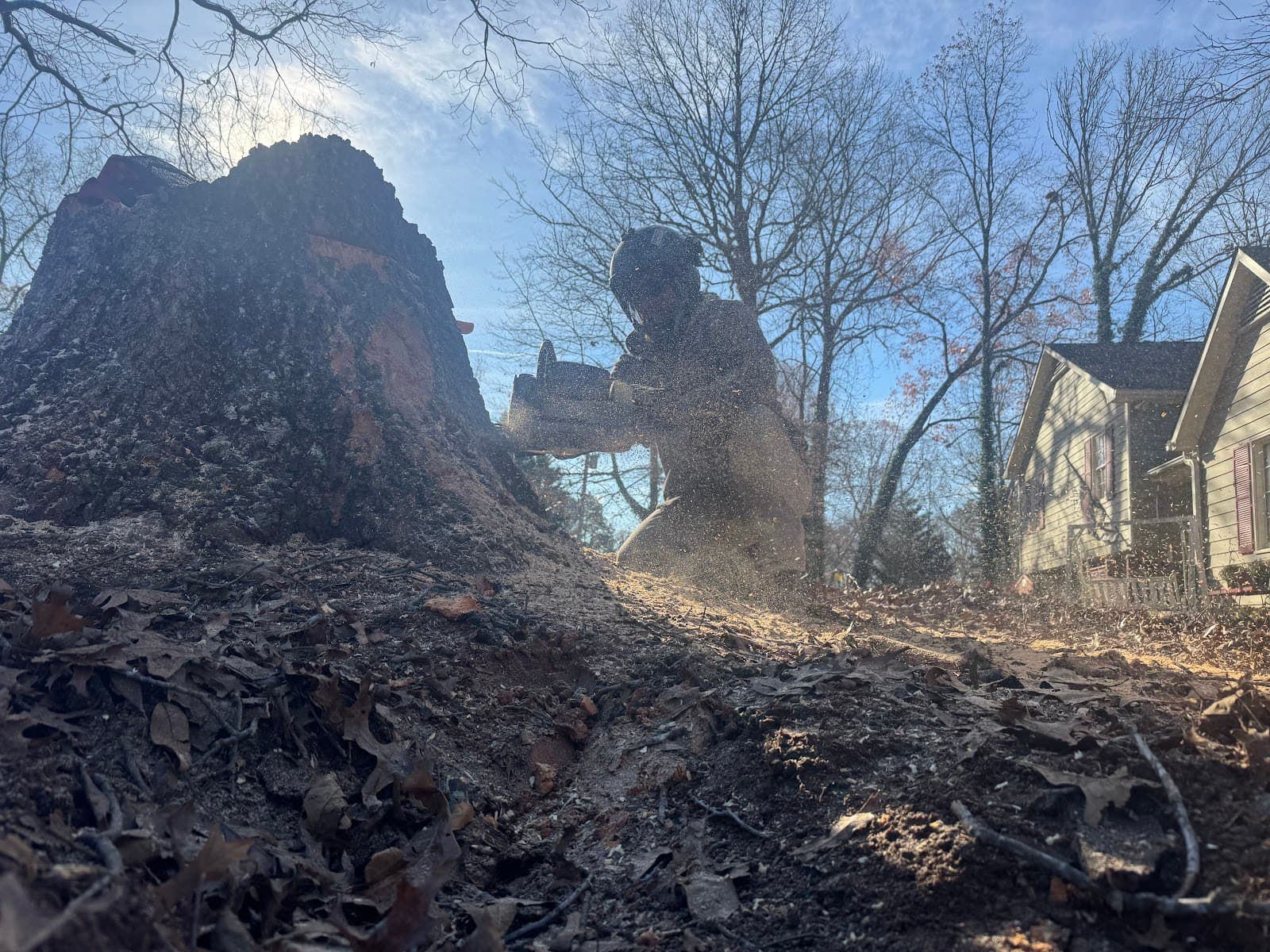 Allatoona Tree Company