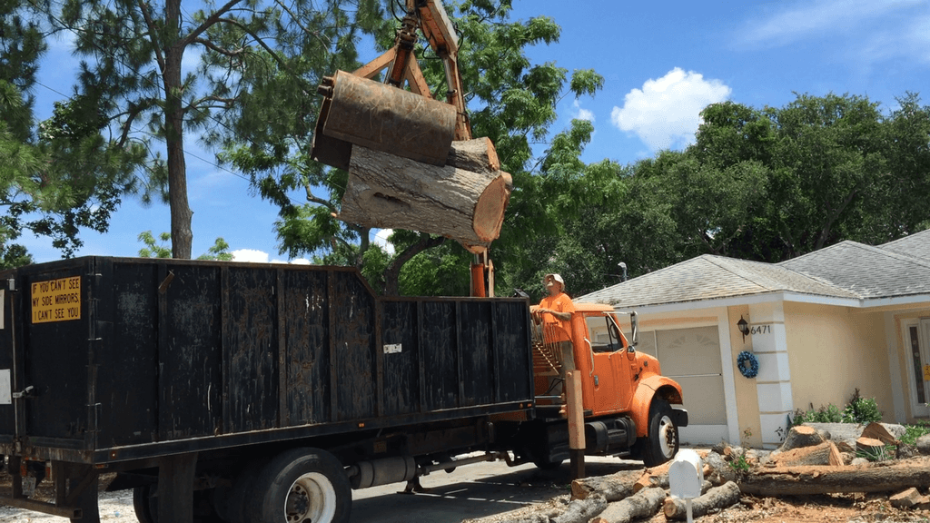 Brian's Quality Tree Service