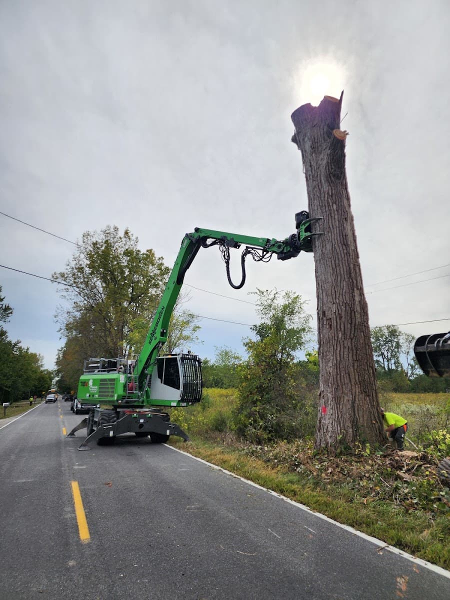 Amstutz Tree Service