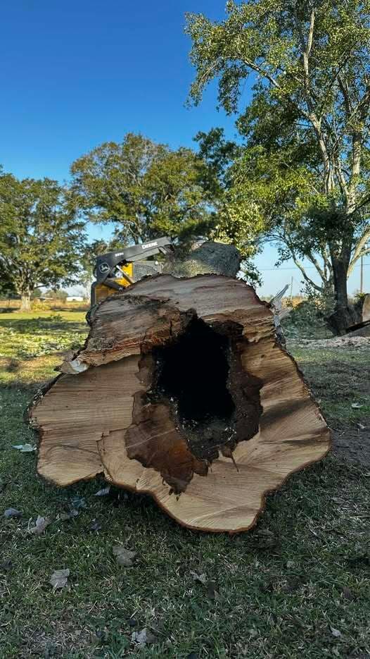 Logan's Tree Service