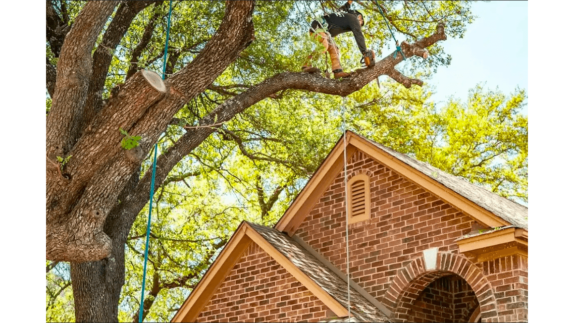 Poseidon Valley Tree Service Corp