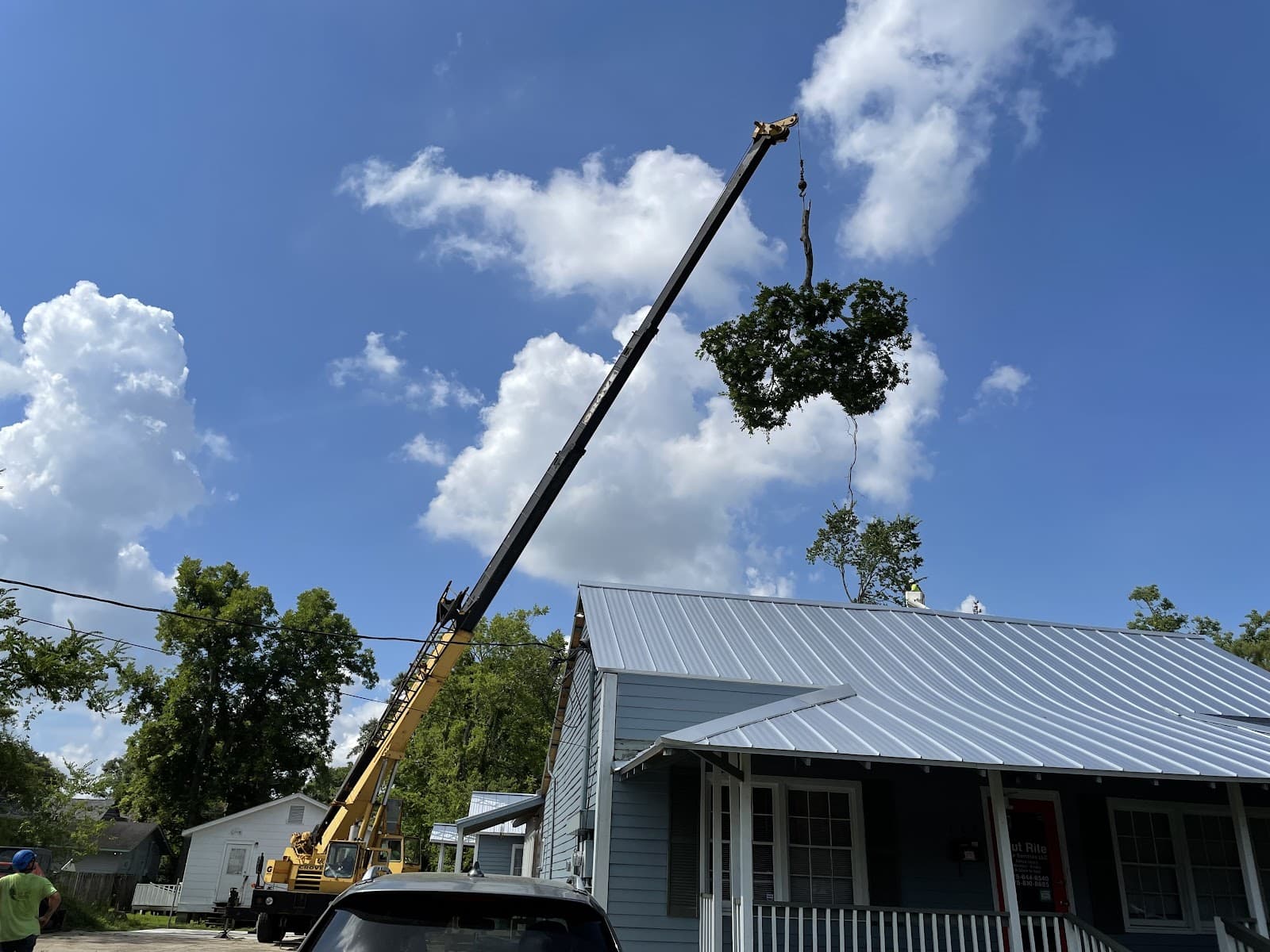 Cut Rite Tree Services